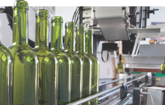 glass bottles on a conveyor line ready to be filled
