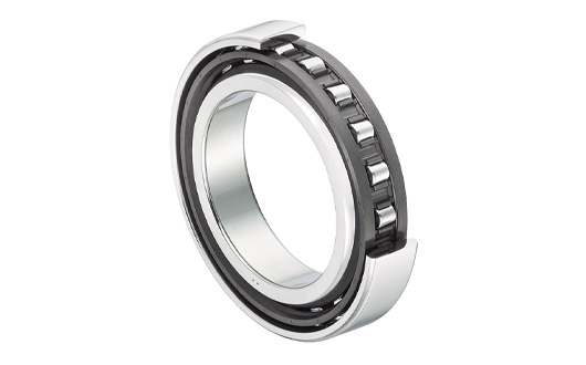 Cylindrical Roller Bearings