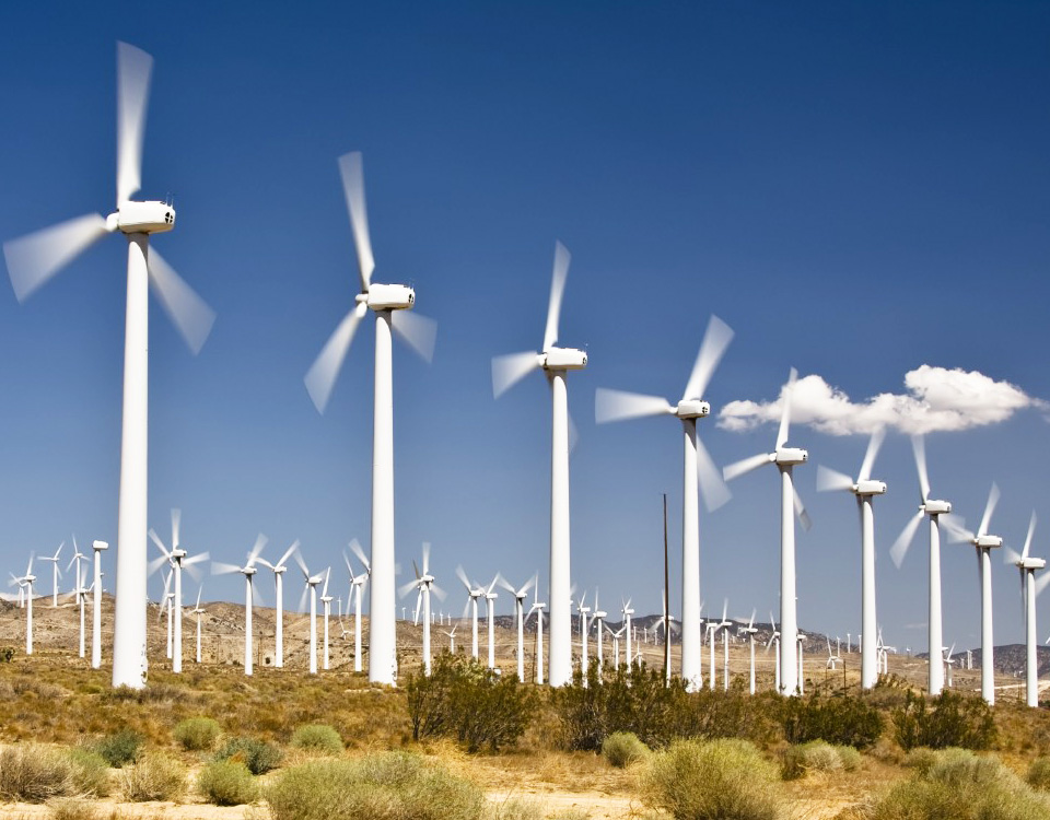 Multiple Active Wind turbines in nature