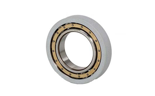 Insulated Cylindrical Roller Bearings