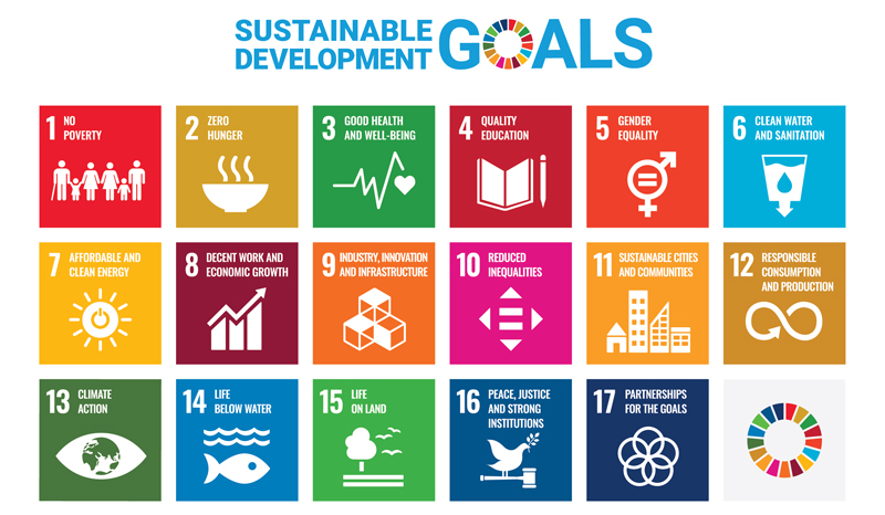 NTN Sustainable Development Goals Chart