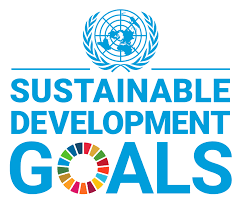Sustianable Development Goals Logo